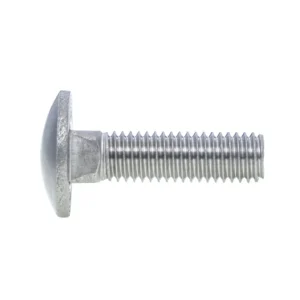 Carriage Bolts