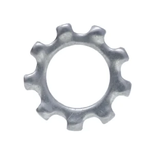External Tooth Lock Washer