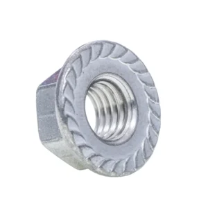 Hex Flange Nut